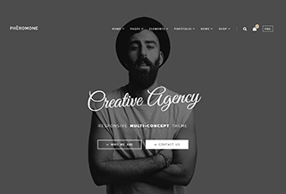 Pheromone - Html Template